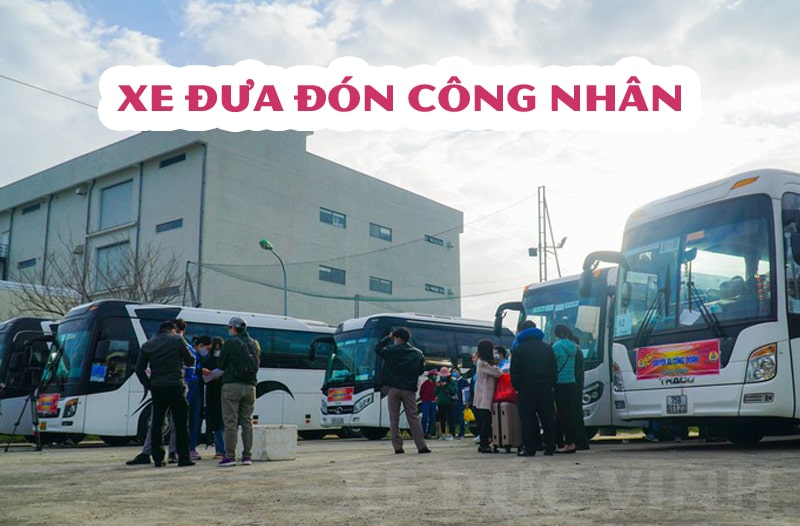 Xe phục vụ khu công nghiệp(đưa đón công nhân hàng ngày)