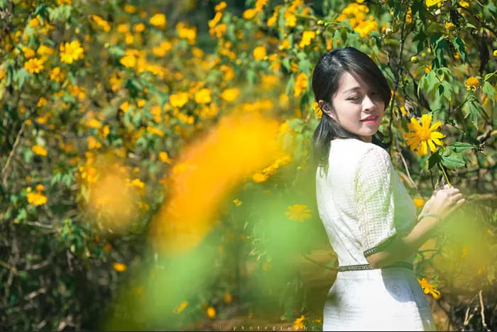 Mộc Châu sở hữu 15+ điểm check-in độc đáo