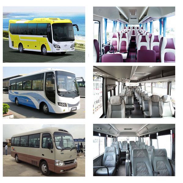 24 Chỗ Và 29 Chỗ: Nên Chọn Xe Nào Cho Đoàn Của Bạn?