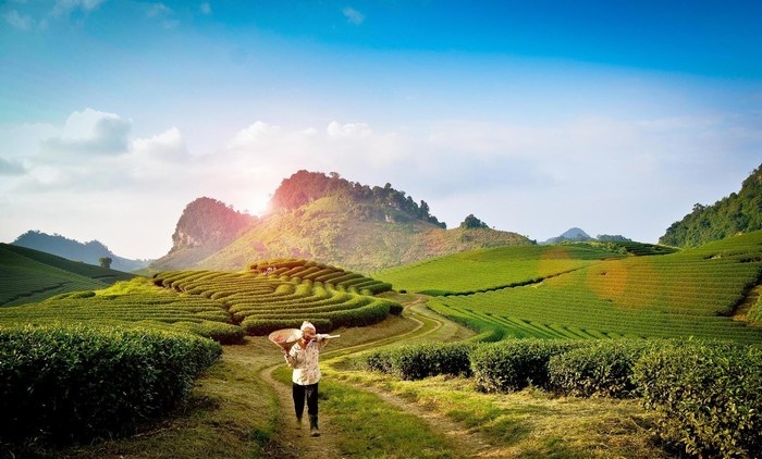 3 mùa hot nhất với khung cảnh thiên nhiên rực rỡ nhất