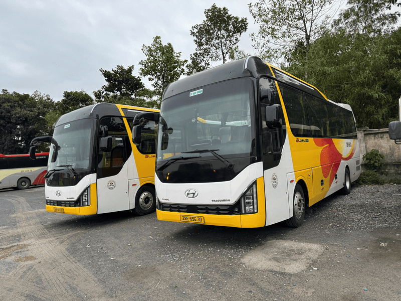 Xe 29 chỗ bóng hơi tại TRAVELCAR