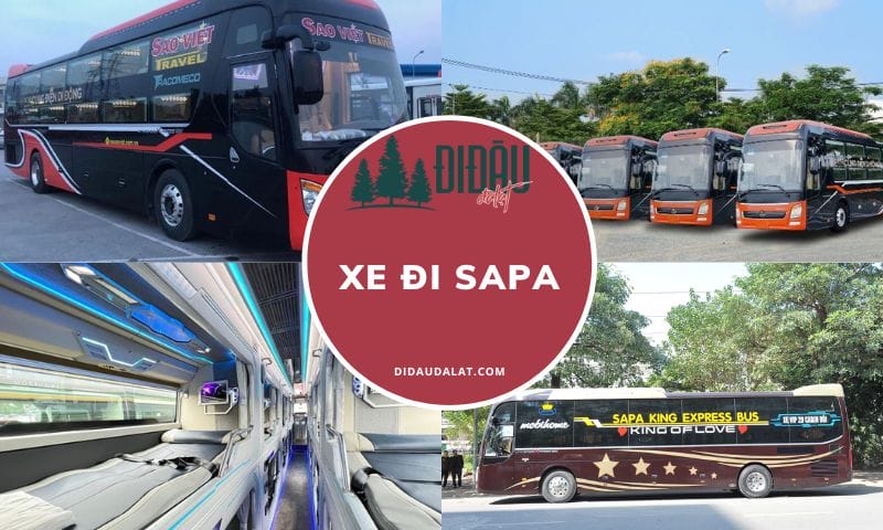 Xe khách Hà Nội -  Sapa