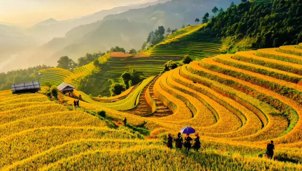 Mù Cang Chải - Thiên đường ruộng bậc thang