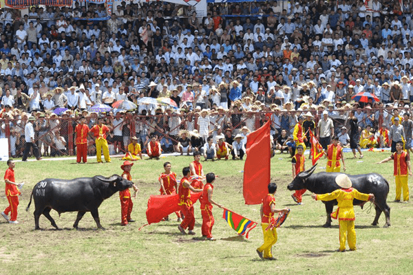 một lễ hội truyền thống của người dân vạn chài tại vùng biển Đồ Sơn