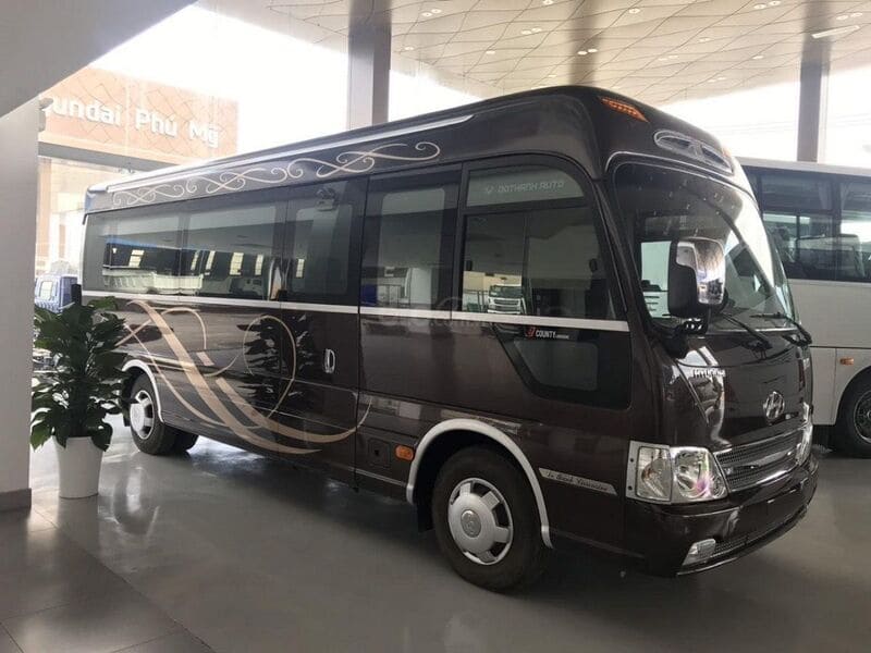 Xe Fuso Roa 29 chỗ